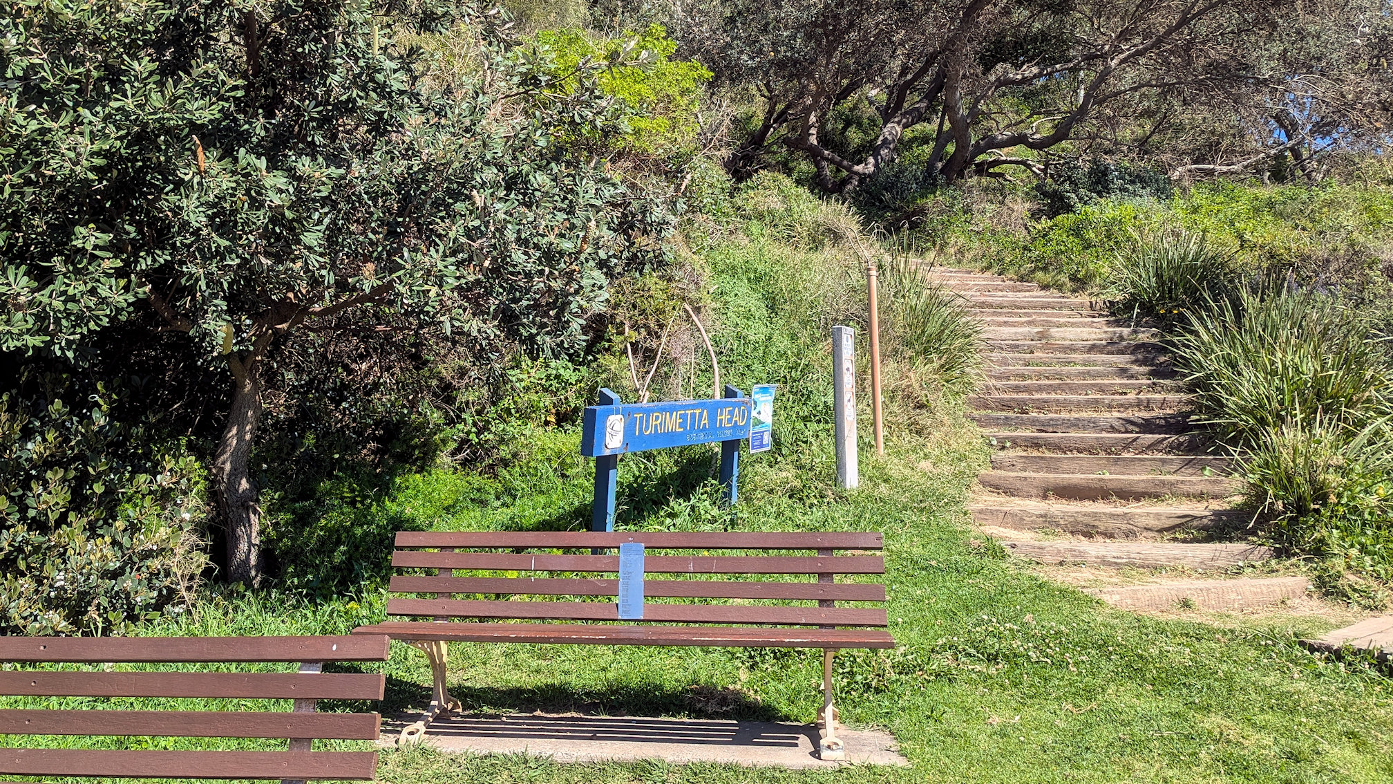 mona_vale track (4)